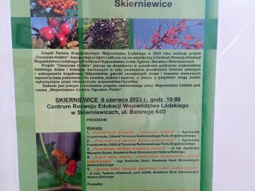 OWOCOWE ŁÓDZKIE w Skierniewicach., 